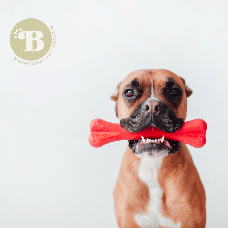 BIMORBOX Peque&ntilde;a - Pack  Snacks y Juguetes Naturales para Perros, , large Imagen numero 4